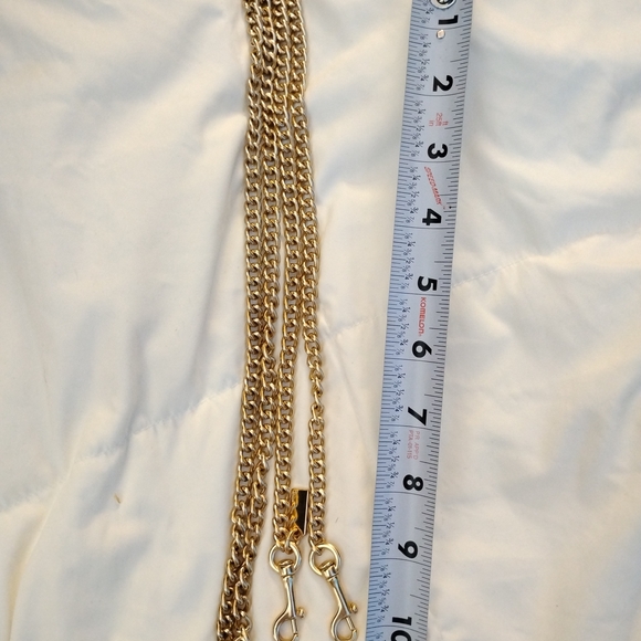 Coach Gold Chain Dog Leash - Picture 5 of 5
